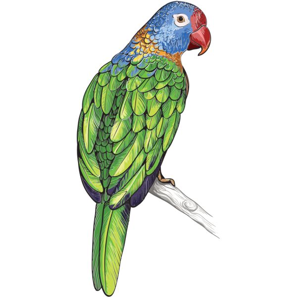birds 4 Thumbnail