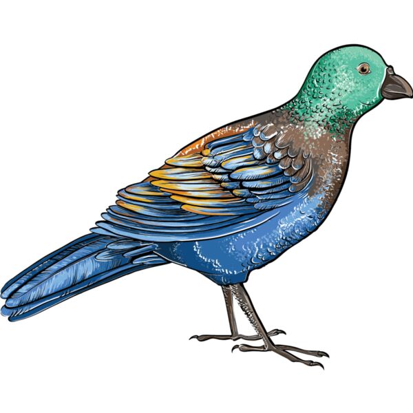 birds 5 Thumbnail