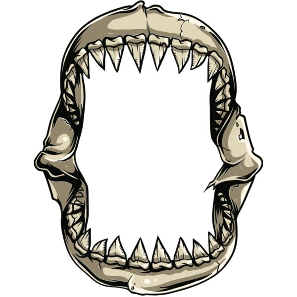 shark 5 Thumbnail