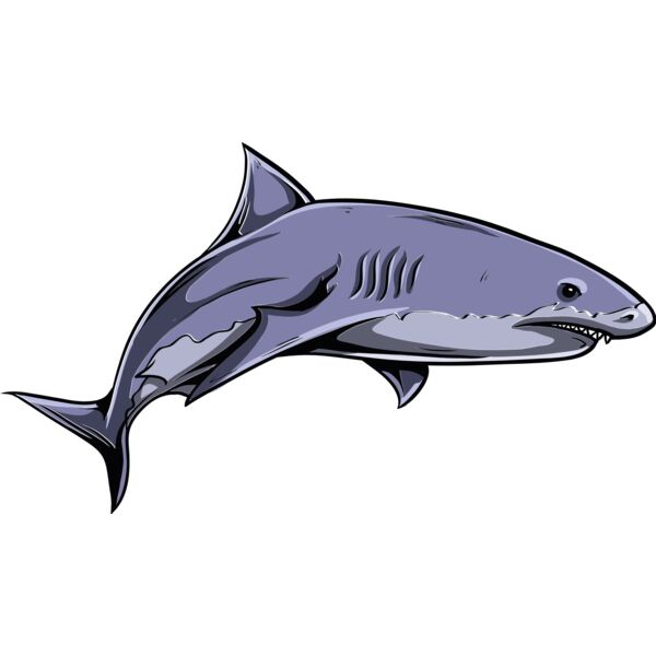 shark 1 Thumbnail