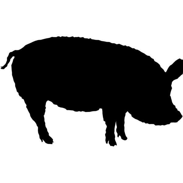 pig Thumbnail