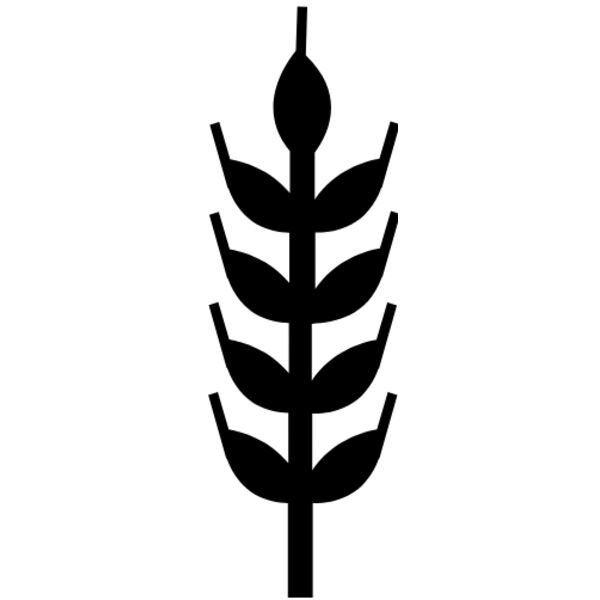 wheat Thumbnail