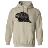 Heavy Blend™ Hooded Sweatshirt Thumbnail