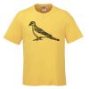 Men's Crew Neck Tee Thumbnail