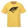 Men's Crew Neck Tee Thumbnail